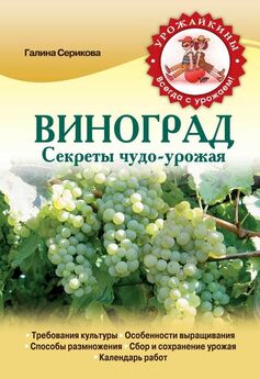 Евгений Пригаровский - Умный виноградник