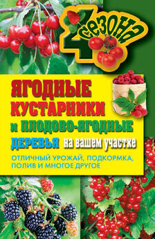 И. Соколов - Обрезка деревьев и кустарников плодовых и декоративных