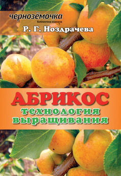 А. Панкратова - Опыт выращивания томатов