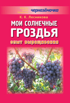 К. Лесникова - Мои солнечные гроздья. Опыт выращивания