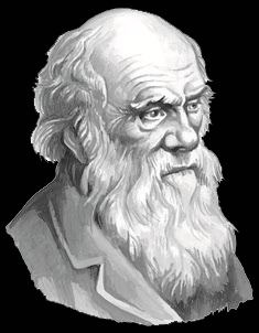 Чарлз Дарвин 18091882 Современная биология комплексная наука для которой - фото 6
