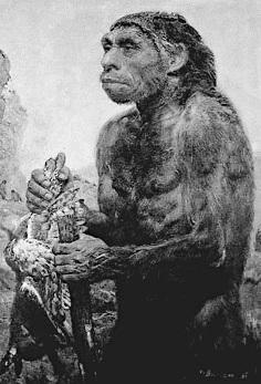 Неандерталец К научным расчетам в спорах о древности края присоединяются - фото 6