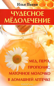 Илья Панин - Чудесное медолечение. Мед, перга, прополис, маточное молочко в домашней аптечке