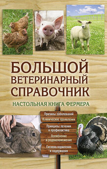 Андрей Лапин - Выращивание кроликов. Как содержать, разводить, лечить – советы профессионалов. Лучшие породы