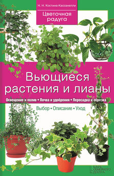 Наталия Костина-Кассанелли - Вьющиеся растения и лианы