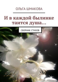 Ольга Бережных - Лето звенящих шагов. Книга стихов