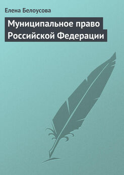 Екатерина Заболотских - Ответственность должностных лиц и органов местного самоуправления. 2-е издание