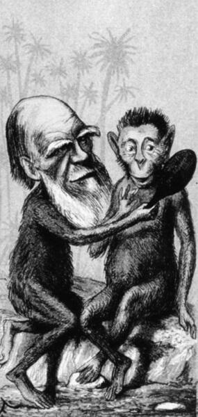 Карикатуры на Чарлза Дарвина Портрет Чарлза Дарвина рабо - фото 2