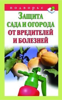 Мария Колпакова - Планировка сада и огорода. 50 разумных идей