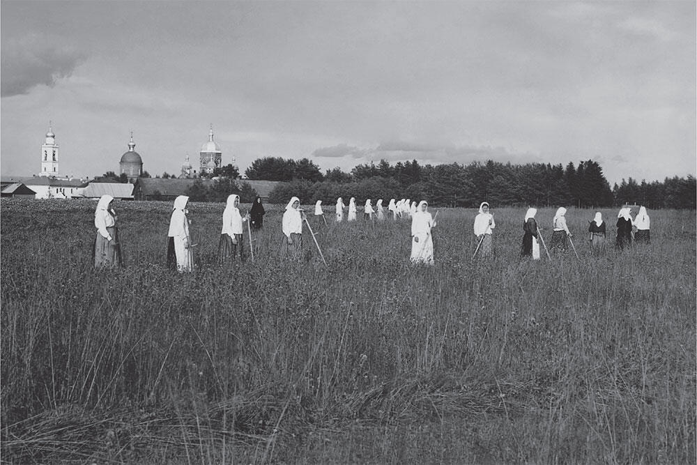 Монастырский сенокос Леушинский монастырь Вологодская область 1909 г - фото 12