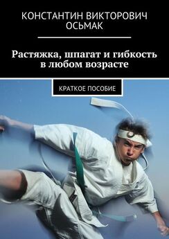 Роман Масленников - 100 секретов растяжки
