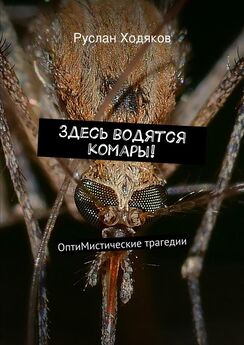 Руслан Ходяков - Здесь водятся комары!