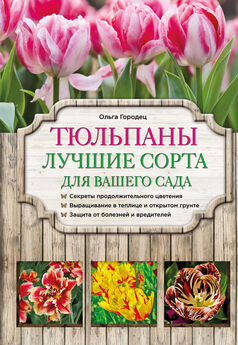 Татьяна Князева - Лучшие цветы для вашего сада