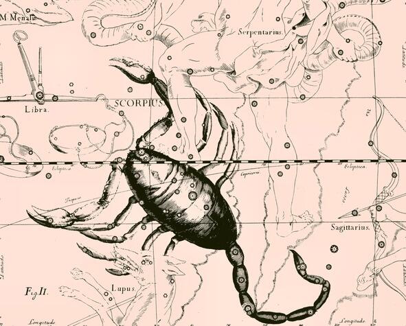 О63 Зодиакальное созвездие Скорпион SCORPIUS из Атласа Uranographia Яна - фото 11