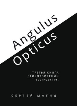 Сергей Магид - Angulus / Opticus. Третья книга стихотворений. 2009–2011 гг.