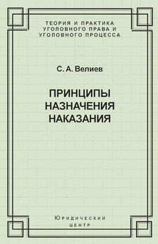 Самир Велиев - Принципы назначения наказания