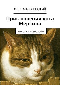 Олег Магелевский - Приключения кота Мерлина – 2. Ночь в музее