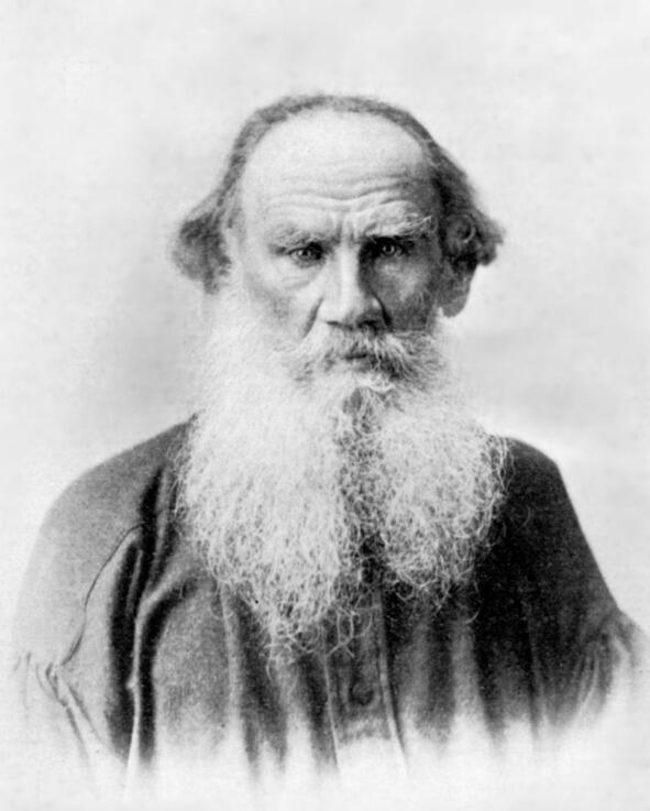 Толстой родился в имении Ясная Поляна расположенном в Тульской губернии 9 - фото 2