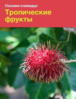 Сергей Серебряков - Тропические фрукты
