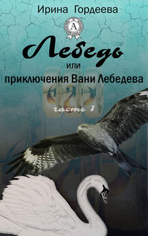 Екатерина Сереброва - Ягуар. Книга первая. Ягуар и маг-невидимка