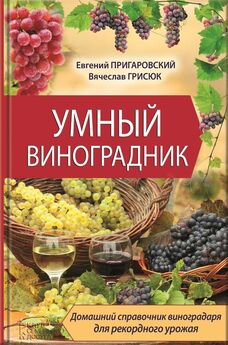 Екатерина Животовская - Умный виноградник для начинающих