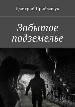 Дмитрий Приймачук - Забытое подземелье. Тень прошлого