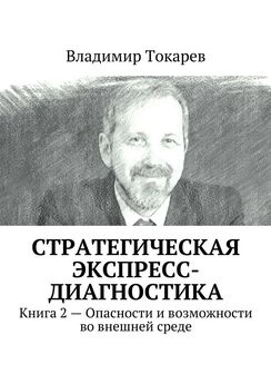 Владимир Токарев - Стратегическая экспресс-диагностика. Книга 2 – Опасности и возможности во внешней среде