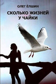 Анастасия Ануфриева - Путь чайки. Книга-тренажер по достижению целей