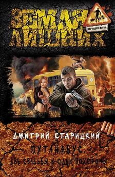 Дмитрий Шадрин - Война аватаров. Книга третья. Вершина пирамиды
