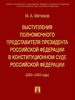 Михаил Митюков - Выступления полномочного представителя Президента РФ в Конституционном суде (2004-2005 гг)
