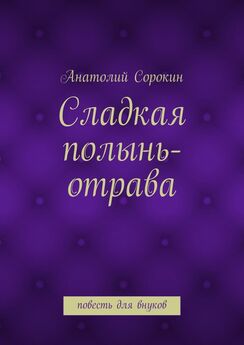 Андрей Соколов - Путь Завета