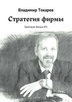 Владимир Токарев - СТАРТАП: стратегическая экспресс-диагностика. Книга 2 – Опасности и возможности во внешней среде