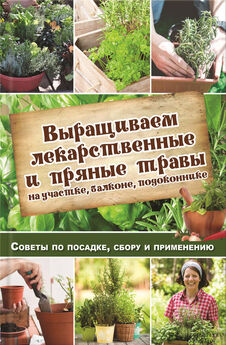 Наталья Костина-Кассанелли - Выращиваем лекарственные и пряные травы на участке, балконе, подоконнике. Советы по посадке, сбору и применению