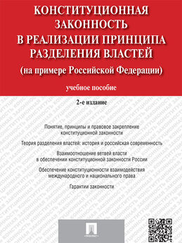 Анатолий Югов - Система действия Конституции Российской Федерации