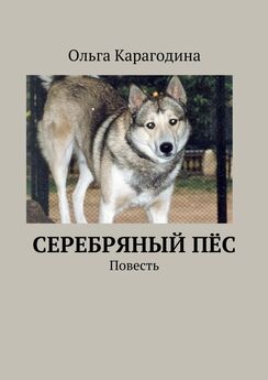 Ольга Карагодина - Cеребряный пёс. Повесть