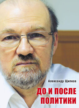 Александр Щипков - До и после политики
