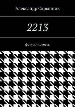 Александр Скрыпник - 2213. футуро-повесть