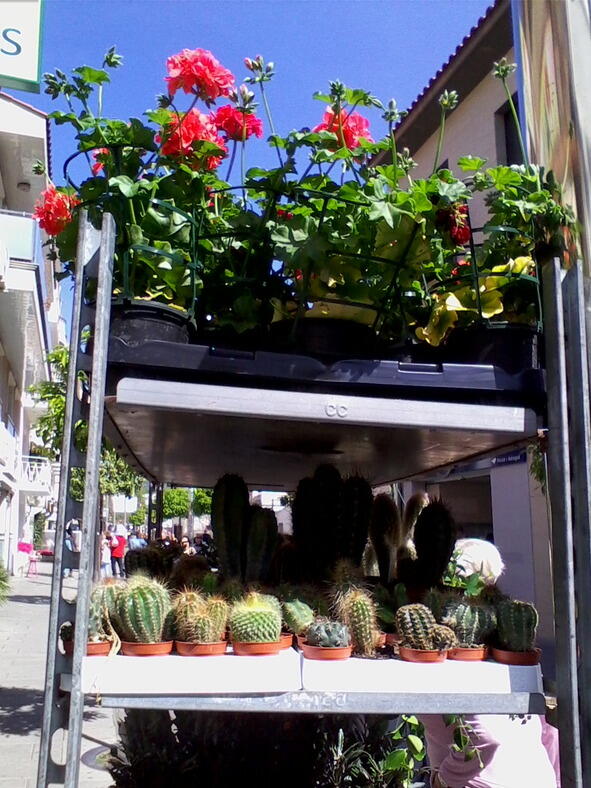Цветочный магазин Можно выбрать себе цветы для любого случая Иду вдоль - фото 14
