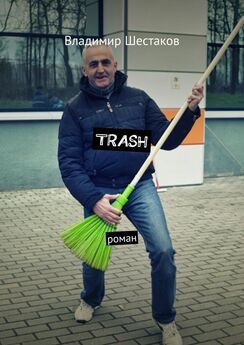 Владимир Шестаков - Trash. Роман
