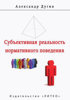 Александр Поддьяков - Исследовательское поведение. Стратегии познания, помощь, противодействие, конфликт