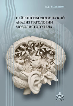 Иван Павлов - Лекции о работе больших полушарий головного мозга
