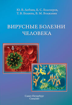 Коллектив авторов - Общая вирусология с основами таксономии вирусов позвоночных