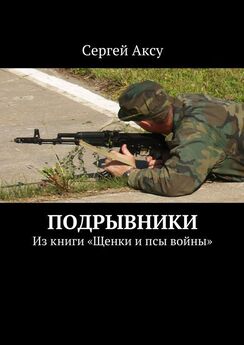 Сергей Аксу - Одно утро чеченской войны. Из книги «Щенки и псы войны»