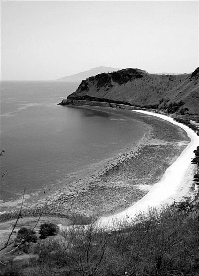 Остров Тимор рядом с которым в 1965 году работала советскоамериканская - фото 2
