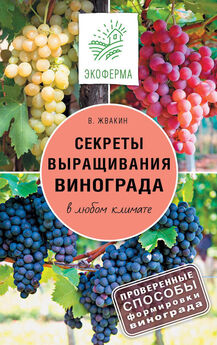 Виктор Жвакин - Секреты выращивания винограда в любом климате. Проверенные способы формировки винограда
