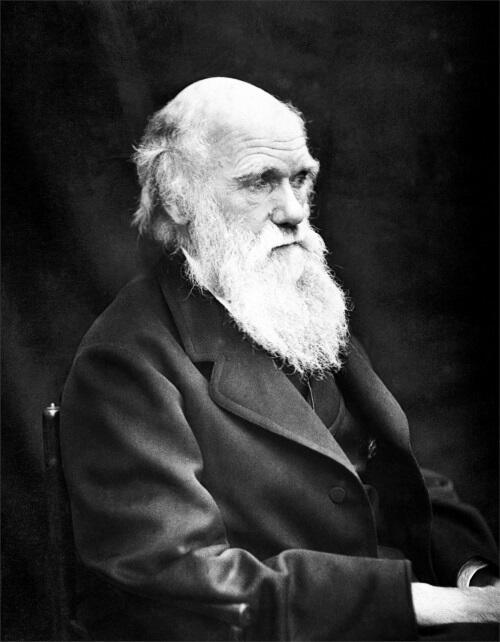Чарлз Роберт Дарвин 18091882 Оригинальное издание Charles Robert Darwin On - фото 2