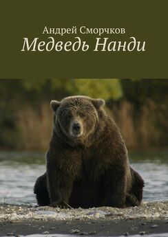 Андрей Сморчков - Медведь Нанди
