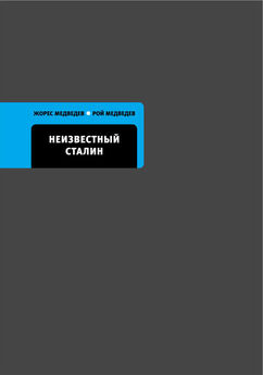 Владимир Медведев - Грехи Брежнева и Горбачева. Воспоминания личного охранника