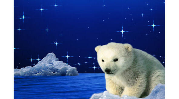Белый медвежонок Умка Лапу он зимой сосет Летом ест малину мёд По тайге - фото 8