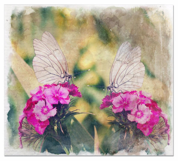 Бабочки летали и не знали о горестях Гермины Но всётаки близкие подружки - фото 4